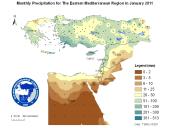 Observed Precipitation-2011-01