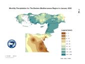 Observed Precipitation-2026-01