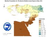 Observed Precipitation-2010-05