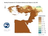 Observed Precipitation-2020-07