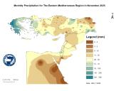 Observed Precipitation-2025-11